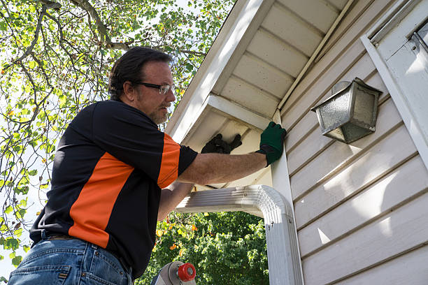 Best Construction Debris Removal  in Notre Dame, IN